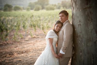 Couple de mariés main dans la main près d'un arbre, Magnanerie Saint Isidore, Hyères